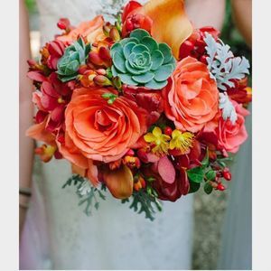 Meet your Posher, Texie